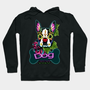 Dog Hoodie